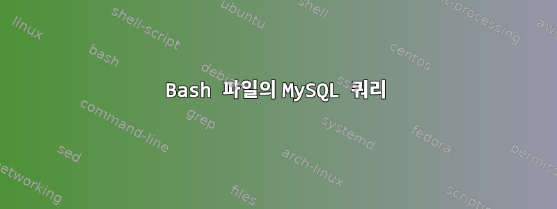 Bash 파일의 MySQL 쿼리