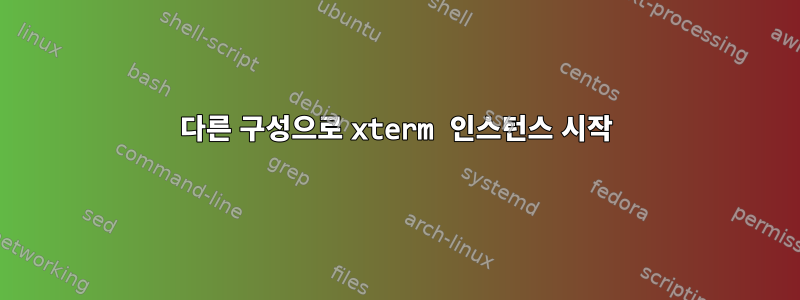 다른 구성으로 xterm 인스턴스 시작