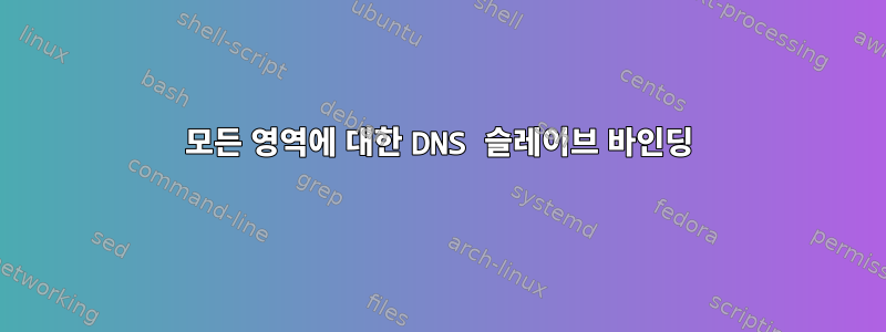 모든 영역에 대한 DNS 슬레이브 바인딩