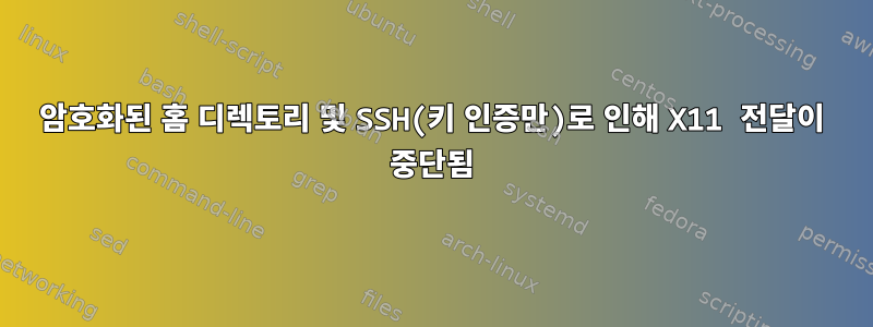 암호화된 홈 디렉토리 및 SSH(키 인증만)로 인해 X11 전달이 중단됨