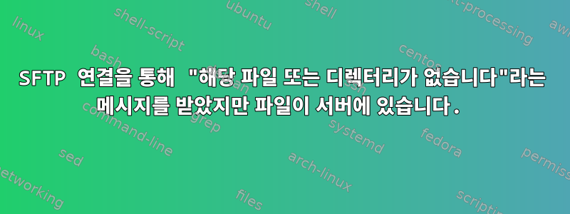 SFTP 연결을 통해 "해당 파일 또는 디렉터리가 없습니다"라는 메시지를 받았지만 파일이 서버에 있습니다.