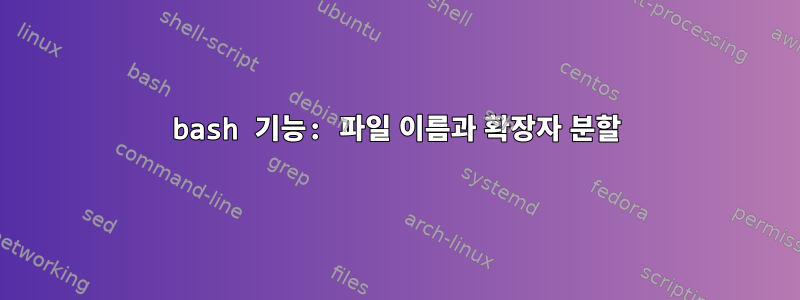 bash 기능: 파일 이름과 확장자 분할