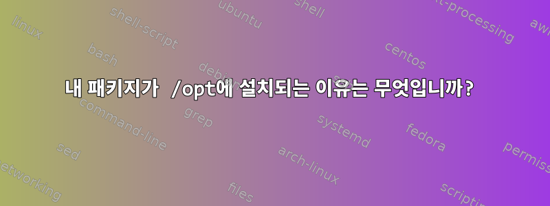 내 패키지가 /opt에 설치되는 이유는 무엇입니까?