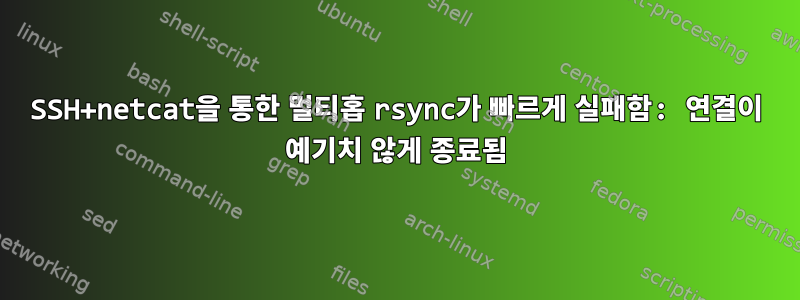 SSH+netcat을 통한 멀티홉 rsync가 빠르게 실패함: 연결이 예기치 않게 종료됨