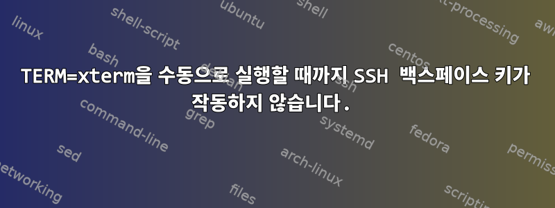 TERM=xterm을 수동으로 실행할 때까지 SSH 백스페이스 키가 작동하지 않습니다.