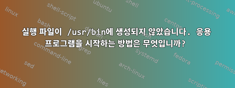 실행 파일이 /usr/bin에 생성되지 않았습니다. 응용 프로그램을 시작하는 방법은 무엇입니까?