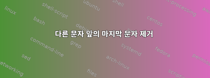 다른 문자 앞의 마지막 문자 제거