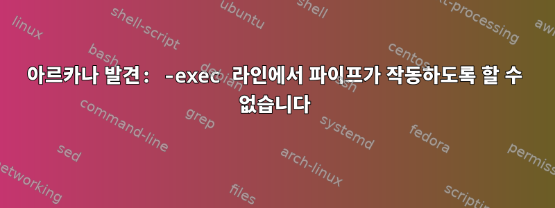 아르카나 발견: -exec 라인에서 파이프가 작동하도록 할 수 없습니다