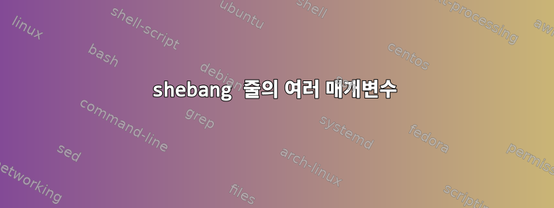 shebang 줄의 여러 매개변수