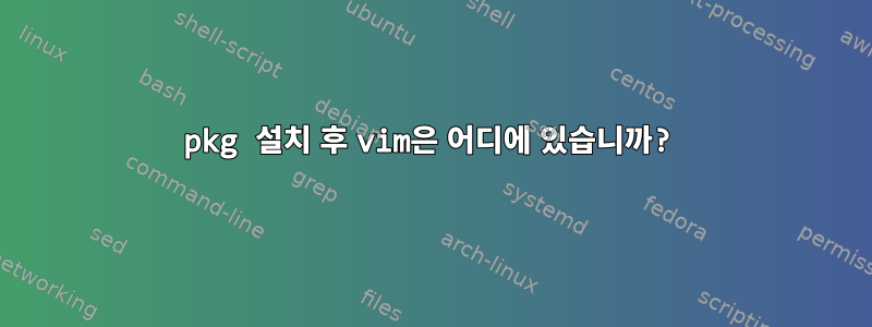 pkg 설치 후 vim은 어디에 있습니까?