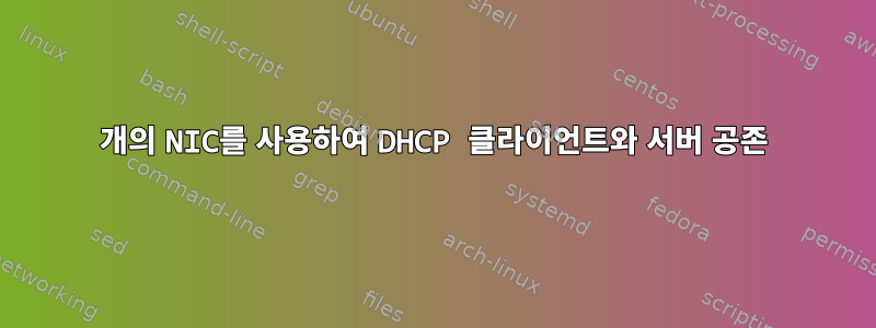 2개의 NIC를 사용하여 DHCP 클라이언트와 서버 공존