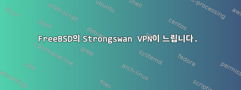 FreeBSD의 Strongswan VPN이 느립니다.