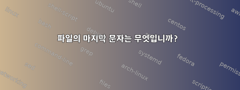 파일의 마지막 문자는 무엇입니까?