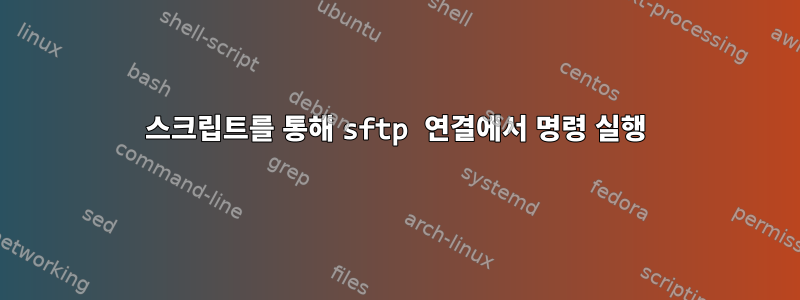 스크립트를 통해 sftp 연결에서 명령 실행