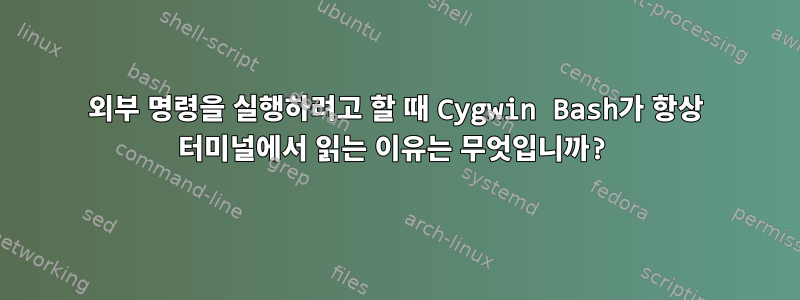 외부 명령을 실행하려고 할 때 Cygwin Bash가 항상 터미널에서 읽는 이유는 무엇입니까?