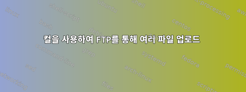 컬을 사용하여 FTP를 통해 여러 파일 업로드