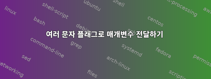 여러 문자 플래그로 매개변수 전달하기