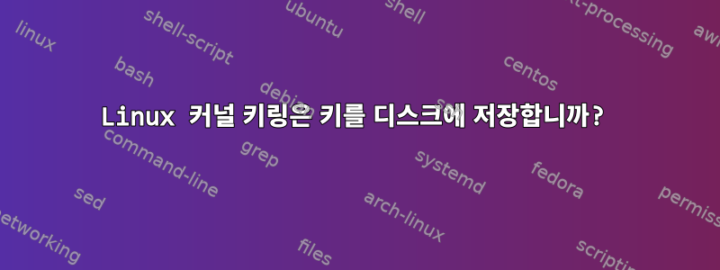 Linux 커널 키링은 키를 디스크에 저장합니까?