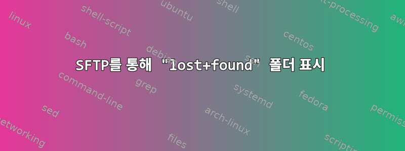 SFTP를 통해 "lost+found" 폴더 표시