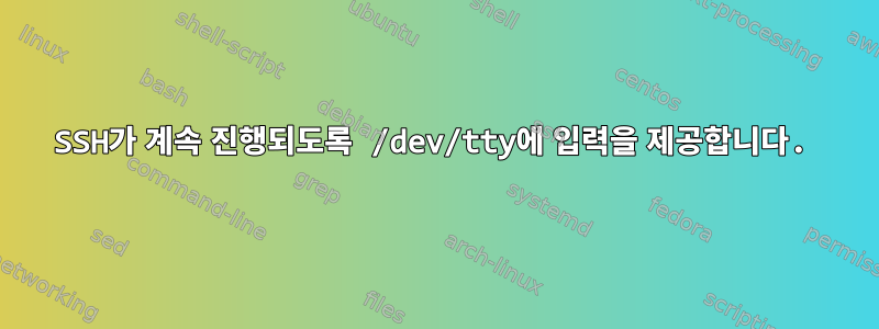 SSH가 계속 진행되도록 /dev/tty에 입력을 제공합니다.