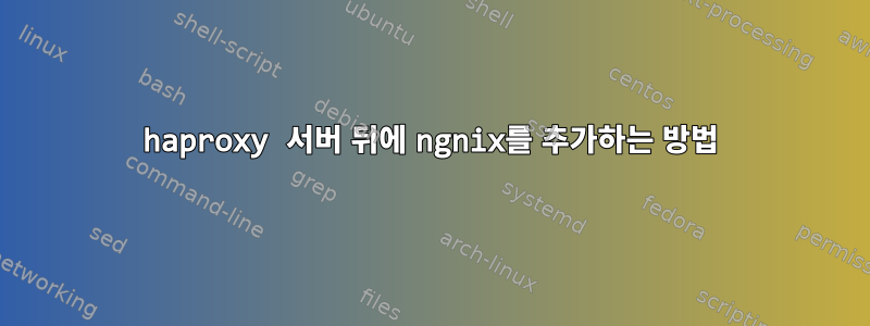 haproxy 서버 뒤에 ngnix를 추가하는 방법