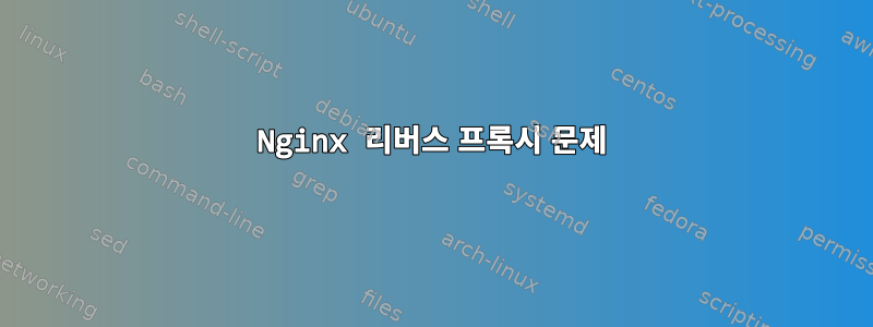 Nginx 리버스 프록시 문제