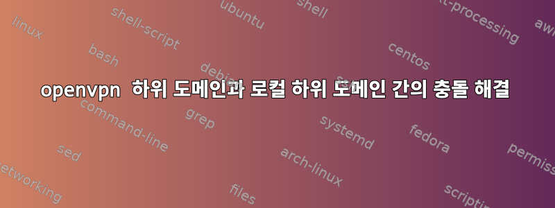 openvpn 하위 도메인과 로컬 하위 도메인 간의 충돌 해결