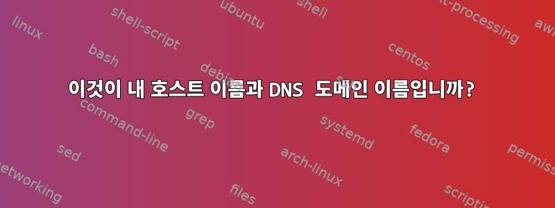 이것이 내 호스트 이름과 DNS 도메인 이름입니까?