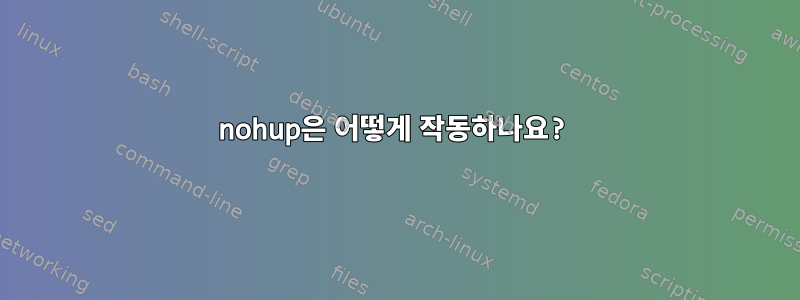 nohup은 어떻게 작동하나요?