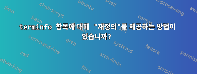 terminfo 항목에 대해 "재정의"를 제공하는 방법이 있습니까?