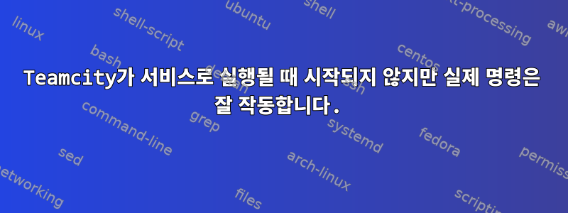 Teamcity가 서비스로 실행될 때 시작되지 않지만 실제 명령은 잘 작동합니다.