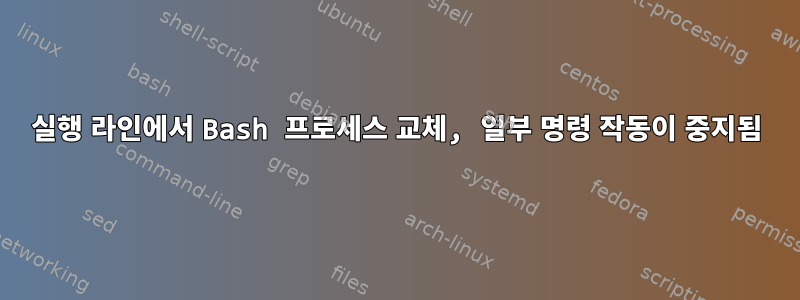 실행 라인에서 Bash 프로세스 교체, 일부 명령 작동이 중지됨