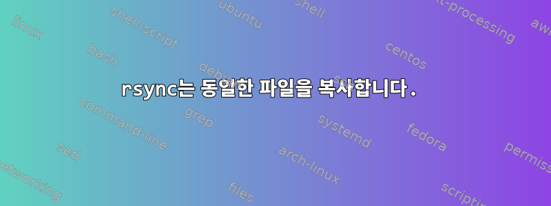 rsync는 동일한 파일을 복사합니다.