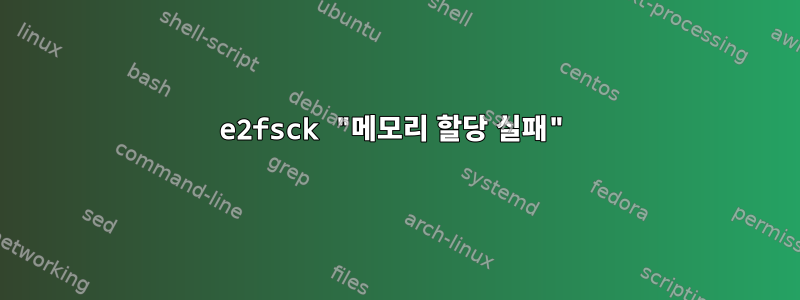 e2fsck "메모리 할당 실패"