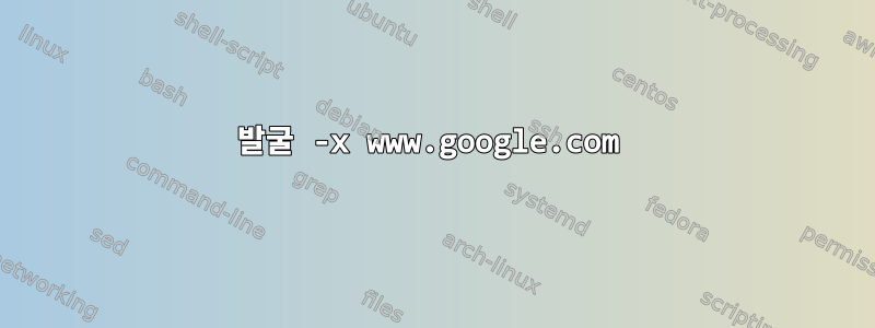 발굴 -x www.google.com