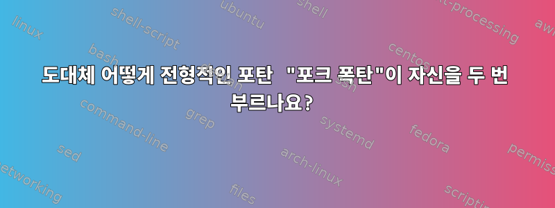 도대체 어떻게 전형적인 포탄 "포크 폭탄"이 자신을 두 번 부르나요?