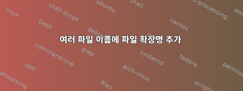 여러 파일 이름에 파일 확장명 추가