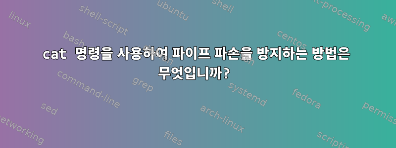 cat 명령을 사용하여 파이프 파손을 방지하는 방법은 무엇입니까?