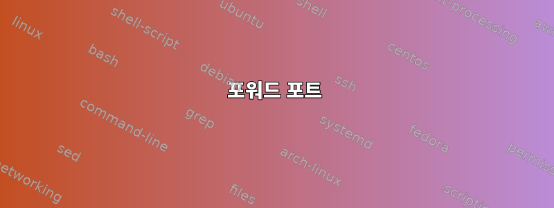 포워드 포트