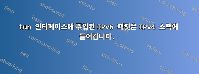 tun 인터페이스에 주입된 IPv6 패킷은 IPv4 스택에 들어갑니다.