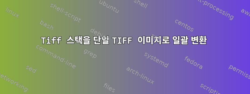 Tiff 스택을 단일 TIFF 이미지로 일괄 변환