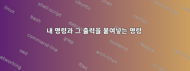 내 명령과 그 출력을 붙여넣는 명령