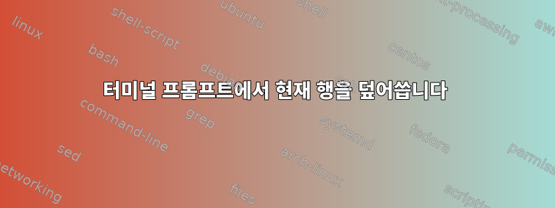 터미널 프롬프트에서 현재 행을 덮어씁니다