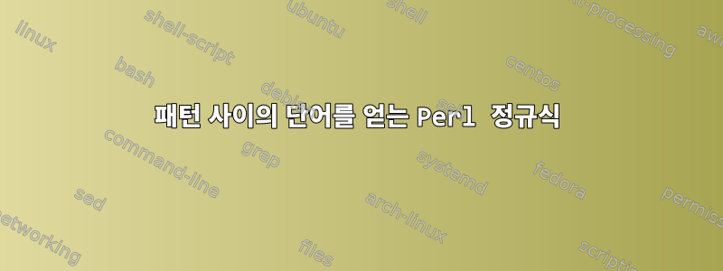 패턴 사이의 단어를 얻는 Perl 정규식