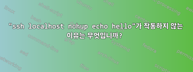 "ssh localhost nohup echo hello"가 작동하지 않는 이유는 무엇입니까?