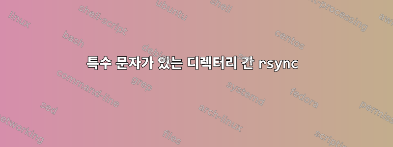 특수 문자가 있는 디렉터리 간 rsync