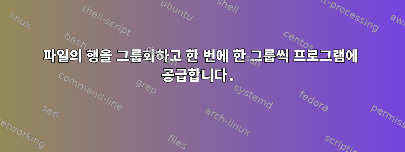 파일의 행을 그룹화하고 한 번에 한 그룹씩 프로그램에 공급합니다.