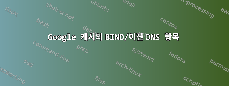 Google 캐시의 BIND/이전 DNS 항목