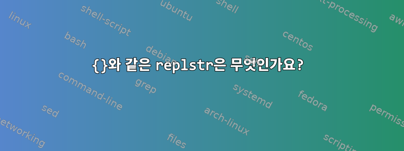 {}와 같은 replstr은 무엇인가요?