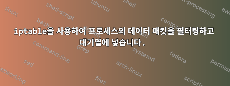 iptable을 사용하여 프로세스의 데이터 패킷을 필터링하고 대기열에 넣습니다.